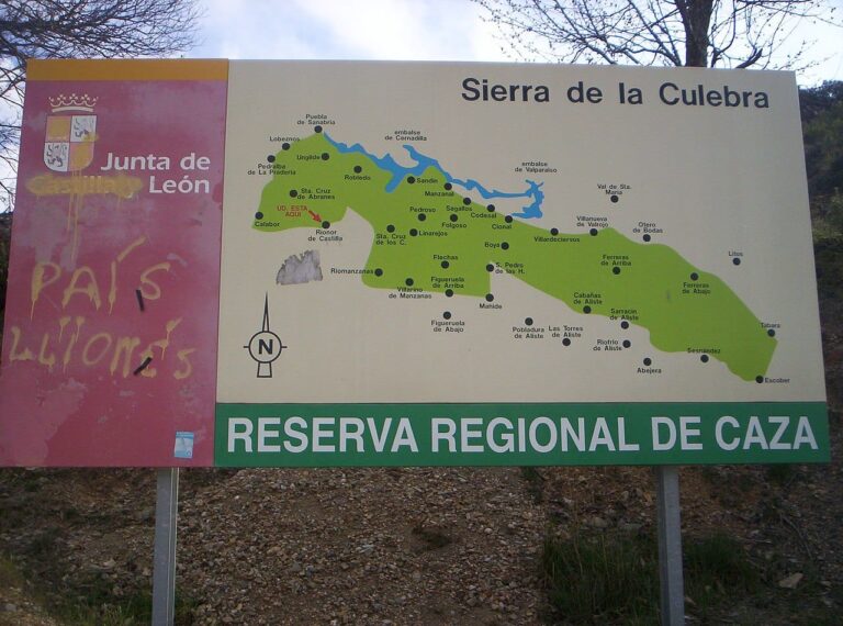 foto-cartelon