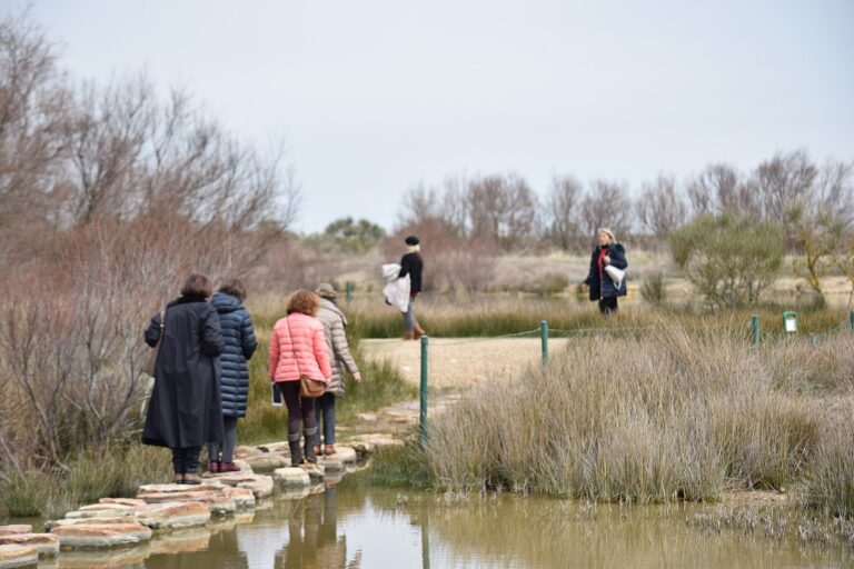 Visita_a_las_Lagunas_de_Villafafila_33521169002