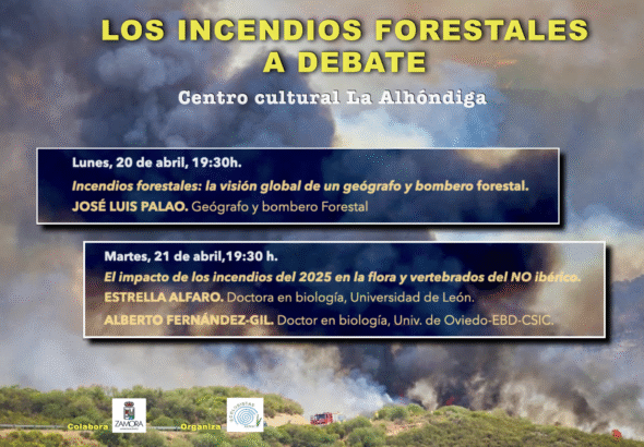 CARTEL SEGUNDA SEMANA