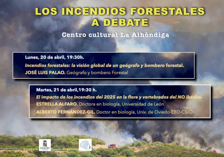 CARTEL SEGUNDA SEMANA