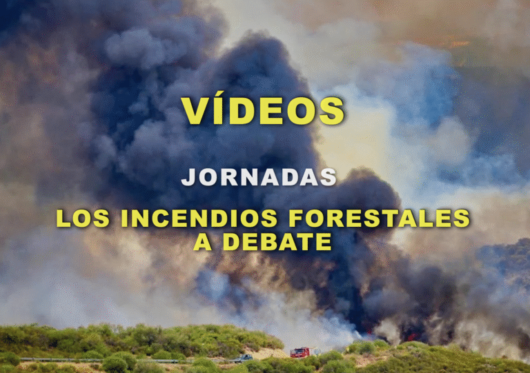 Captura de pantalla 2026-04-16 a las 21.24.19