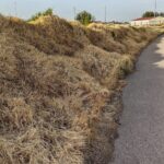 fuentesauco zona tratada