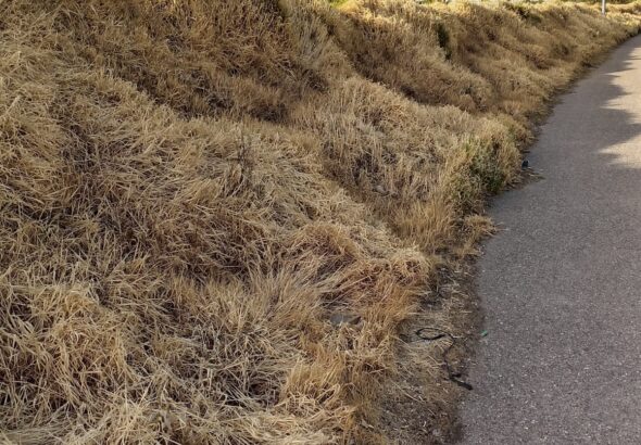 fuentesauco zona tratada