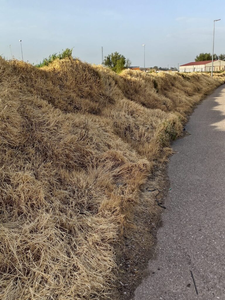 fuentesauco zona tratada