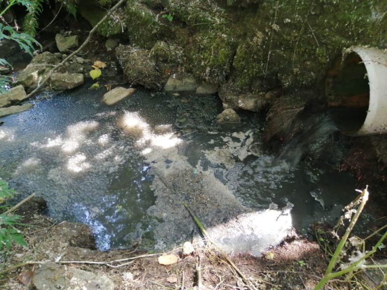 contaminacion zapatera 3(1)