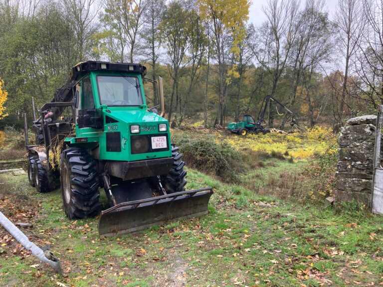 salvajada en Manzanal de Arriba 3