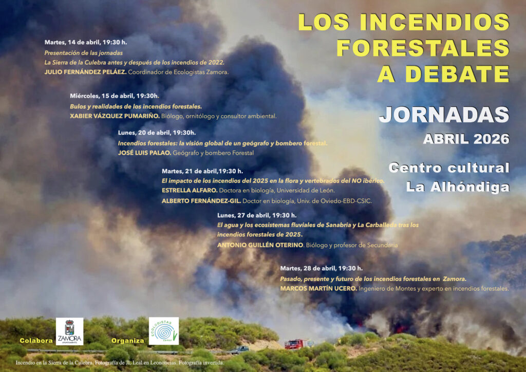 INCENDIOS-FORESTALES-1024x724.jpeg