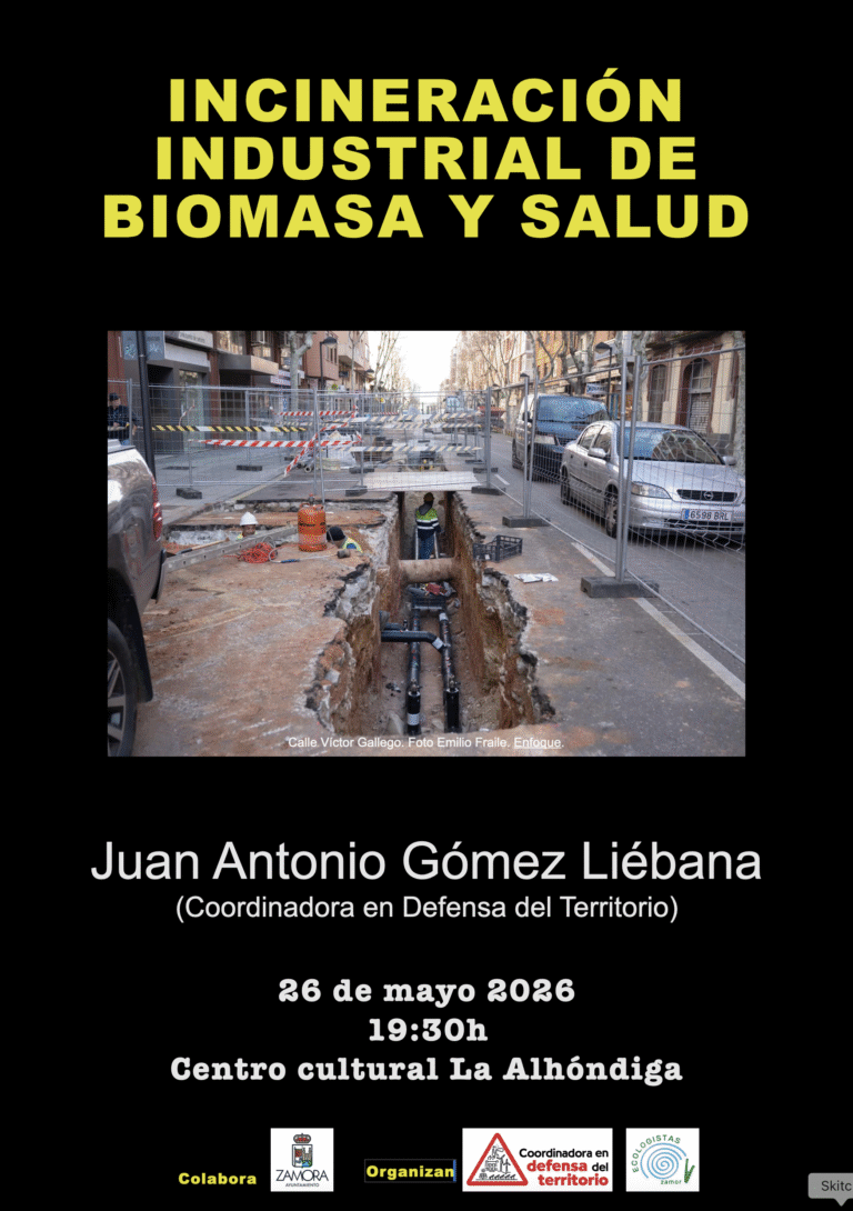 Captura de pantalla 2026-05-19 a las 21.13.24