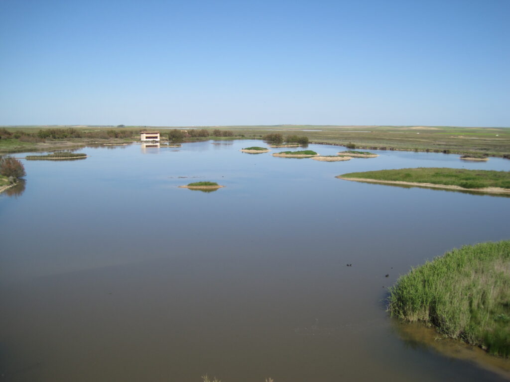 Lagunas_de_Villafafila_Casa_del_Parque-1024x768.jpg